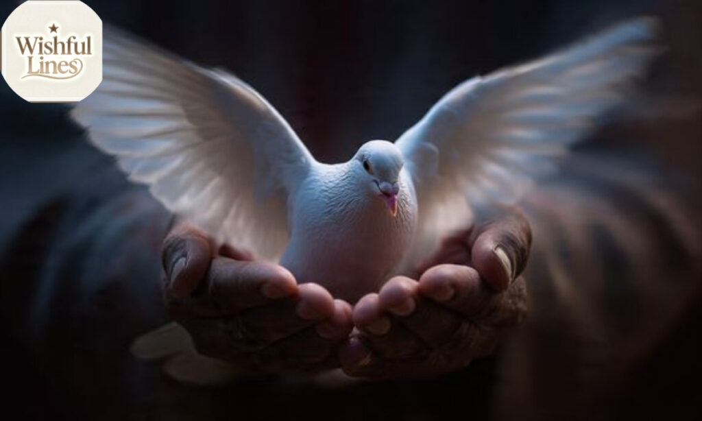 A Starting Prayer For Peace