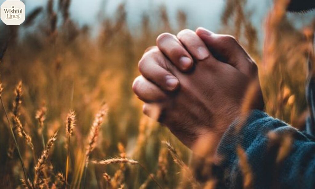 Pray for a Renewed and Open Heart