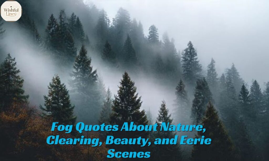 Fog Quotes About Nature, Clearing, Beauty, and Eerie Scenes