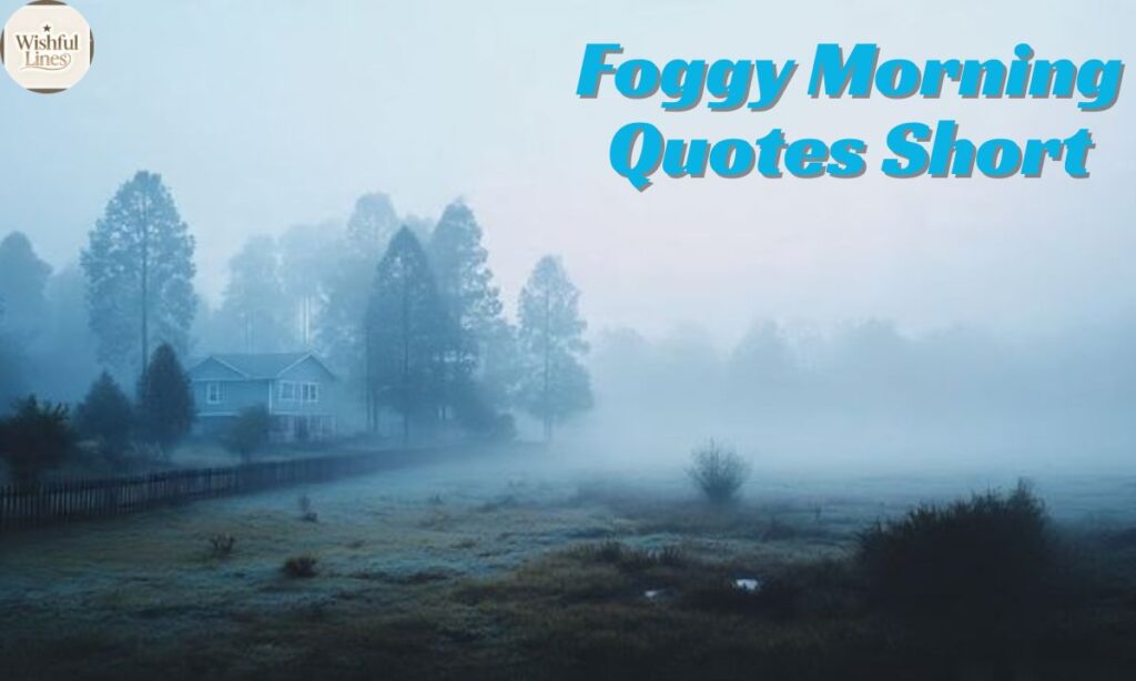 Foggy Morning Quotes Short