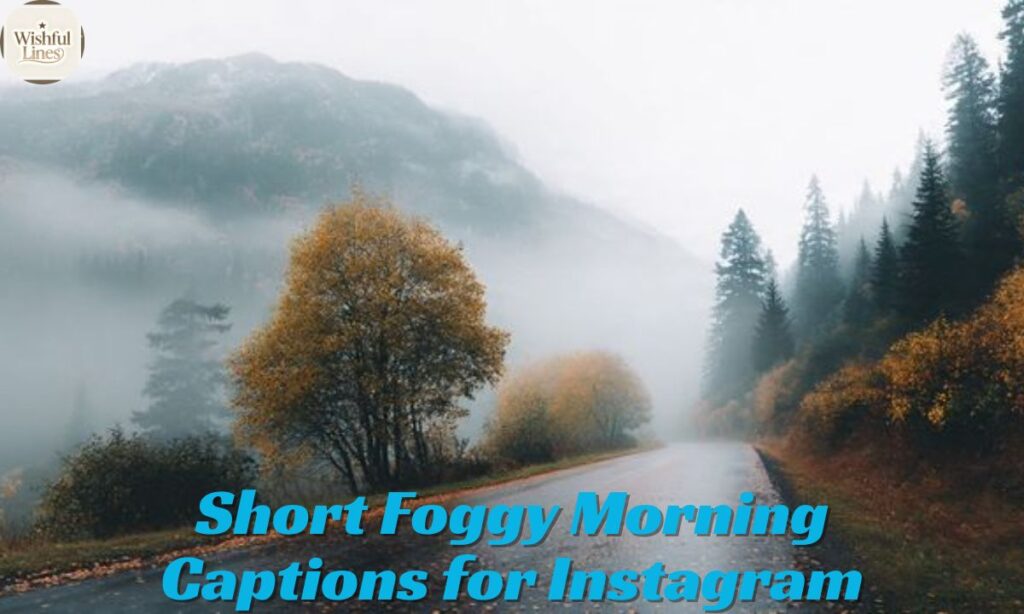 Short Foggy Morning Captions for Instagram