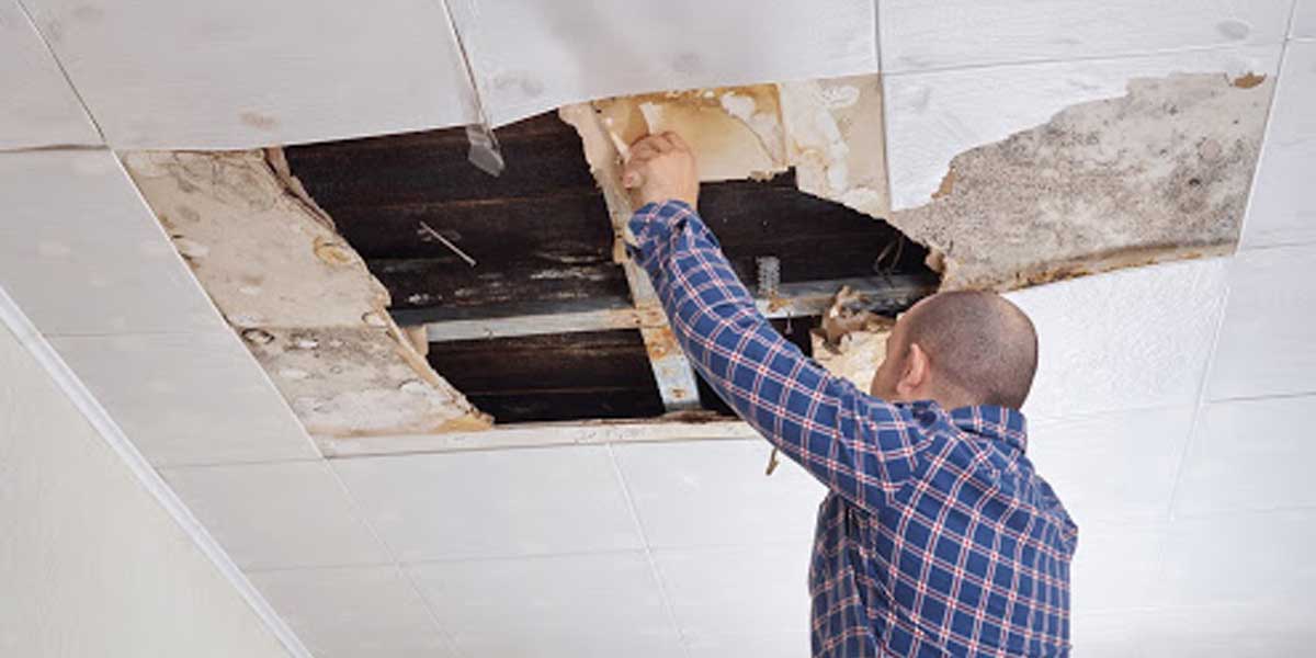 How-to-Find-the-Leak-in-a-Roof