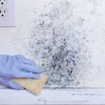 How-to-Remove-Mold-from-Walls-Safely-and-Permanently