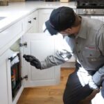 Why Pest Control in Bangor