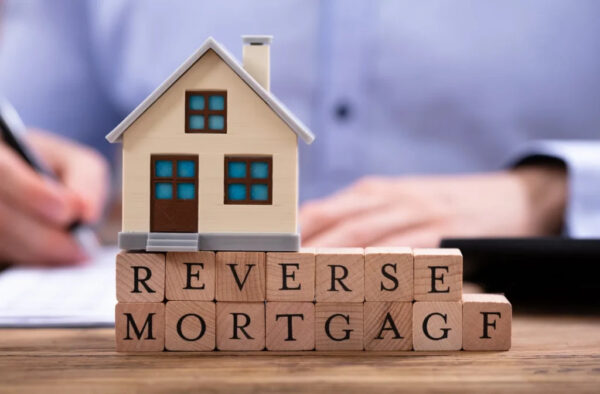 how-to-read-a-reverse-mortgage-statement-a-practic-1