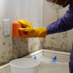 how-to-remove-mold-from-walls-a-practical-homeowne-1