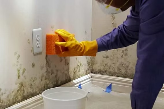 how-to-remove-mold-from-walls-a-practical-homeowne-1