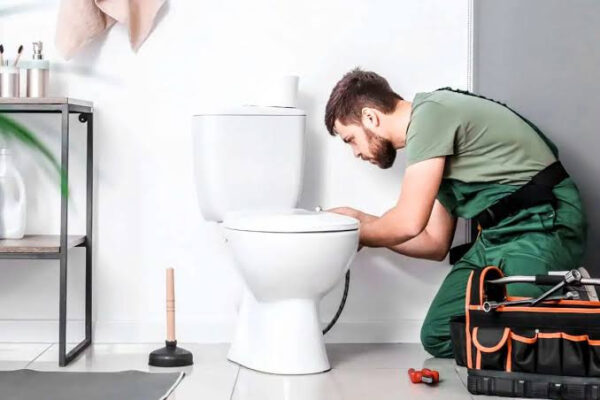 how-to-replace-a-toilet-seal-a-practical-homeowner-1