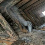 Attic Mold Removal